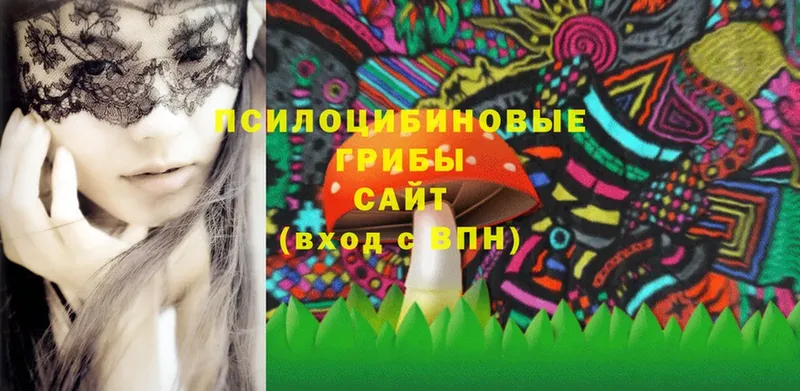 Галлюциногенные грибы MAGIC MUSHROOMS  наркота  Духовщина 